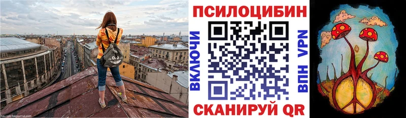 купить   Полярные Зори  kraken tor  Псилоцибиновые грибы Cubensis 
